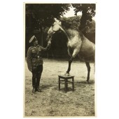 Немецкий кавалерист со своей лошадью